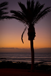 Similar image 9153833