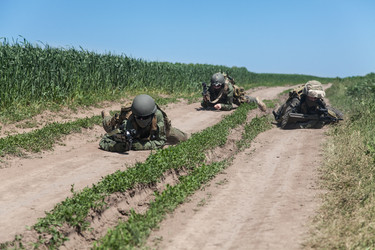 Similar image 9154023