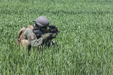 Similar image 9154031