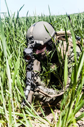 Similar image 9154032