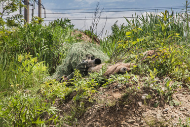 Similar image 9154148