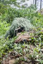 Similar image 9154153