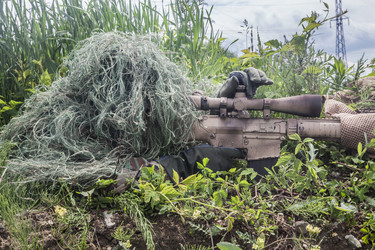 Similar image 9154157