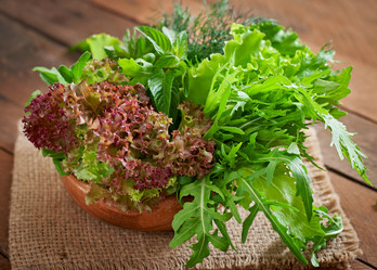 Similar image 9154619