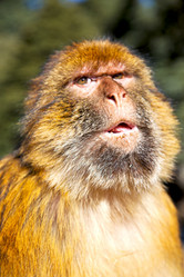 Similar image 9157475