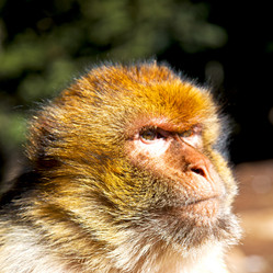 Similar image 9157813