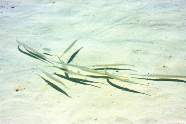 Similar image 9157820