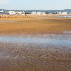 Similar image 9157822