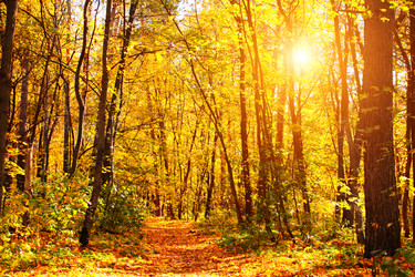 Similar image 9161387