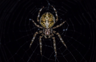 Similar image 9161648