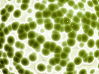 Similar image 9161802