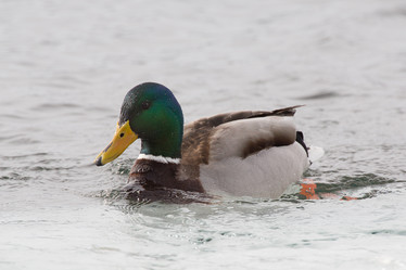 Similar image 9163592