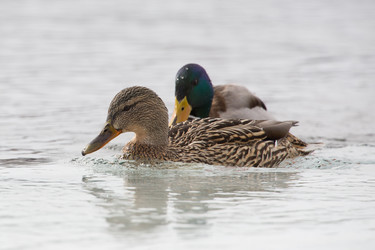 Similar image 9163594