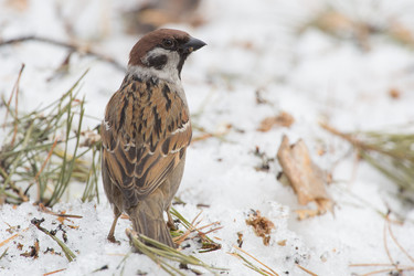 Similar image 9163603