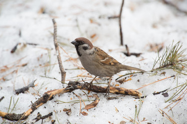 Similar image 9163606