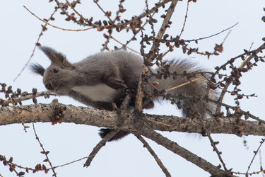 Similar image 9163607