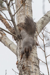 Similar image 9163611