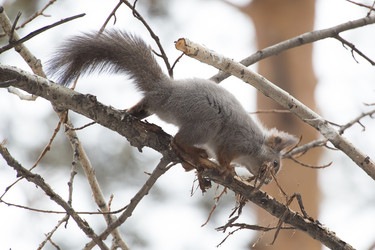 Similar image 9163615