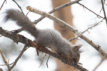 Similar image 9163617