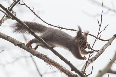 Similar image 9163618