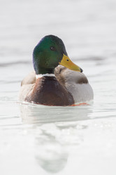 Similar image 9163621