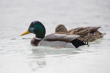 Similar image 9163622