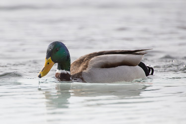 Similar image 9163623