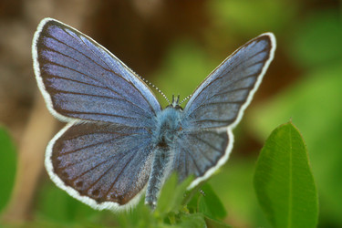 Similar image 9163624