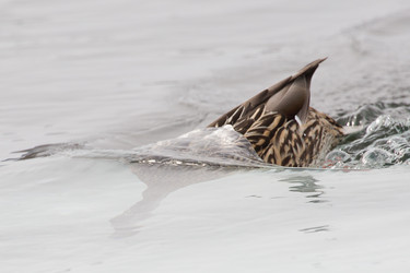 Similar image 9163830