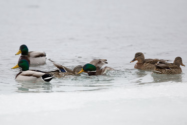 Similar image 9163832