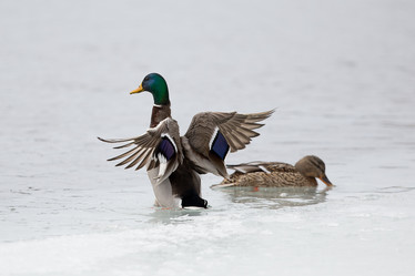 Similar image 9163835