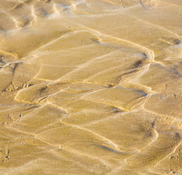 Similar image 9164330