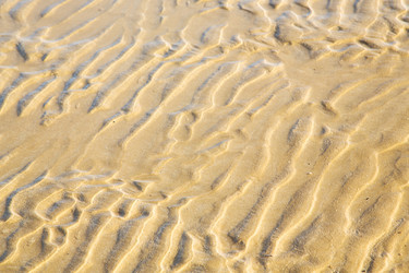 Similar image 9164345