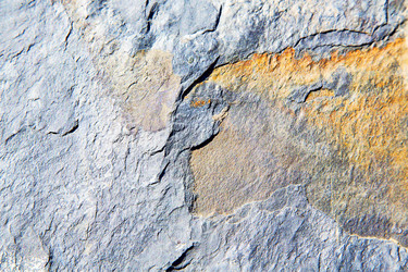 Similar image 9164501