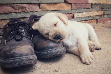 Similar image 9164589