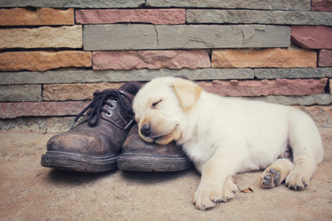 Similar image 9164591