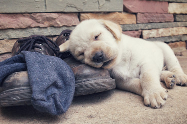 Similar image 9164593