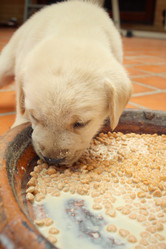 Similar image 9164597