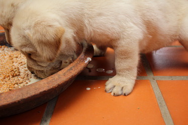 Similar image 9164601