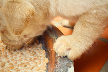 Similar image 9164605