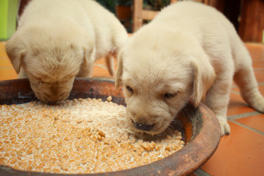 Similar image 9164610