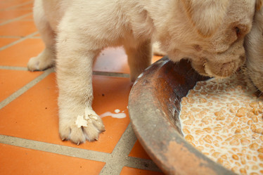 Similar image 9164612