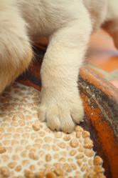 Similar image 9164614