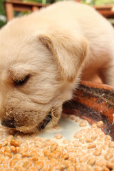 Similar image 9164616