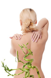 Similar image 9164740