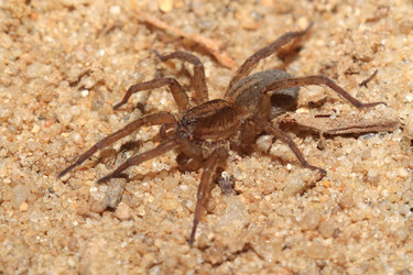 Similar image 9168361