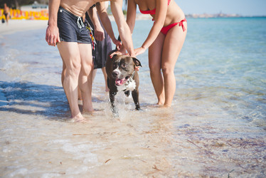 Similar image 9168779