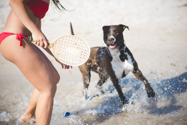 Similar image 9168783