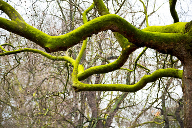 Similar image 9169509