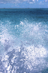 Similar image 9169914